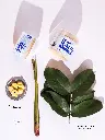 4.webp